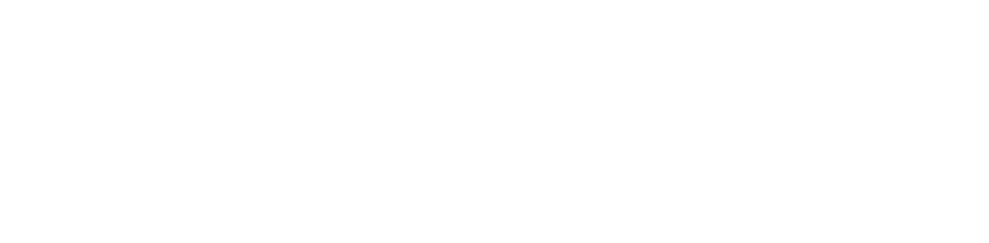 Image of selection and voting process explained text